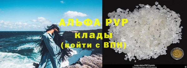 ПСИЛОЦИБИНОВЫЕ ГРИБЫ Сафоново
