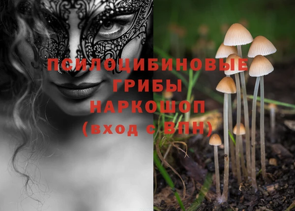 экстази Россошь