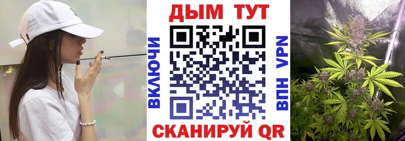Канабис конопля  где найти   Краснообск 